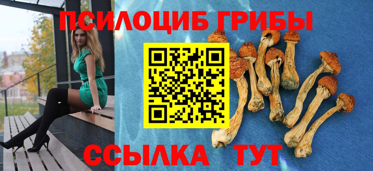 Псилоцибиновые грибы MAGIC MUSHROOMS  Вход с VPN  Псилоцибиновые грибы Cubensis  Советск 